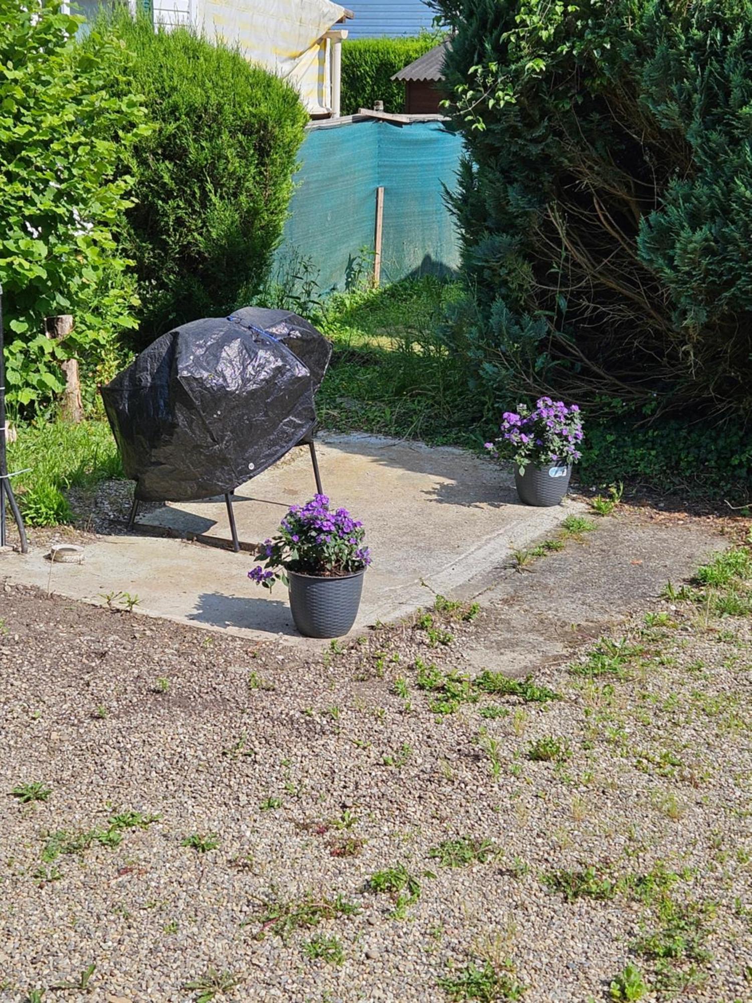 Mobil-Home Climatise Boofzheim 外观 照片